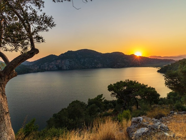 Flyplasstransport til Dalaman (AAL) 