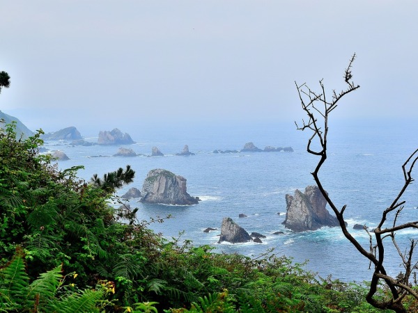 Transfery z letiska Asturias (OVD) 