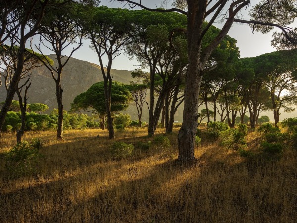 Transfery z letiska Heraklion (HER) 